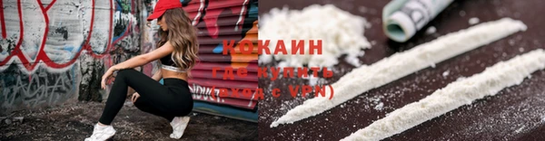 прущие грибы Касимов