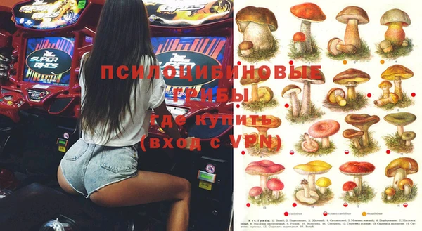 ГАЛЛЮЦИНОГЕННЫЕ ГРИБЫ Каменка
