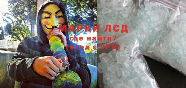 прущие грибы Касимов