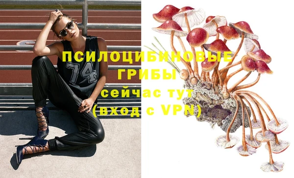прущие грибы Касимов