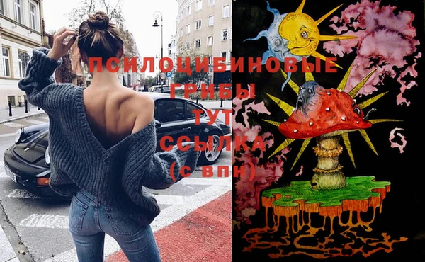 прущие грибы Касимов