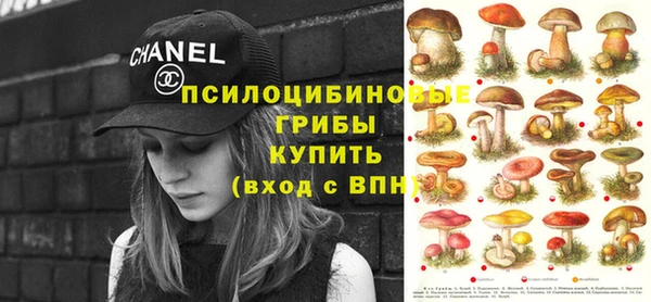 спайс Карпинск