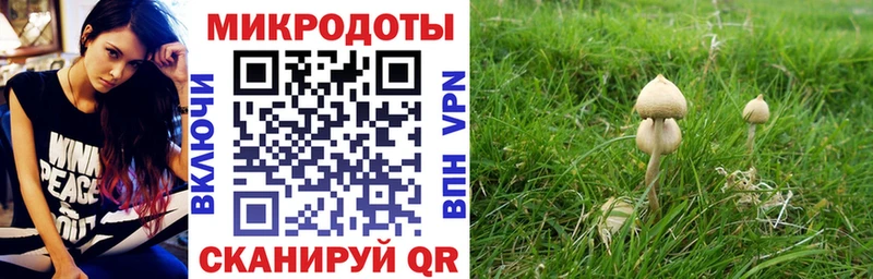 Псилоцибиновые грибы Cubensis  Черепаново 